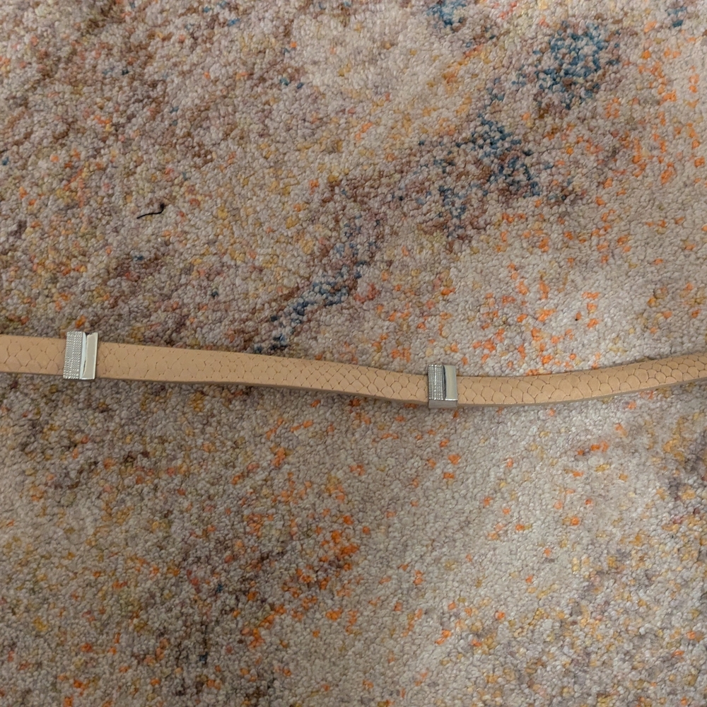 Tan Belt with Silver Buckles